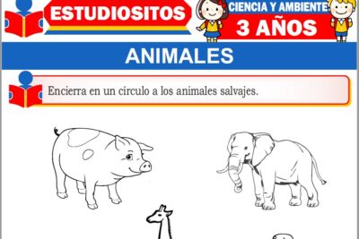 Ejercicios de Animales para Niños de Tres Años