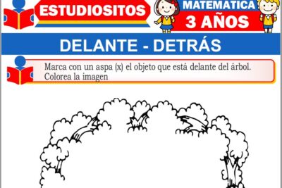 Ejercicios de Delante y Detrás para Niños de Tres Años