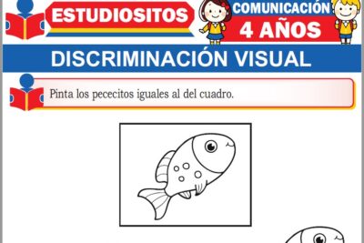 Ejercicios de Discriminación Visual para Niños de Cuatro Años