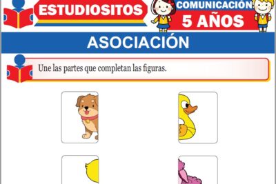 Ejercicios de Asociación para Niños de Cinco Años