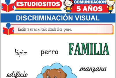 Ejercicios de Discriminación Visual para Niños de Cinco Años