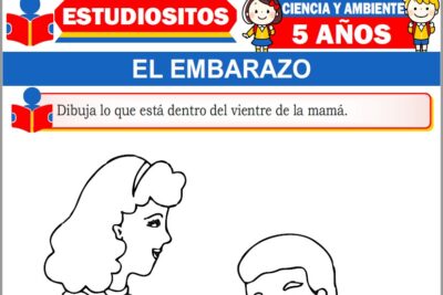 Ejercicios del Embarazo para Niños de Cinco Años