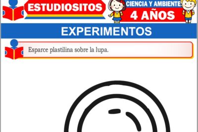 Ejercicios de Experimentos para Niños de Cuatro Años