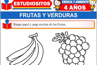 Ejercicios de Frutas y Verduras para Niños de Cuatro Años