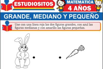 Ejercicios de Grande, Mediano y Pequeño para Niños de Cuatro Años
