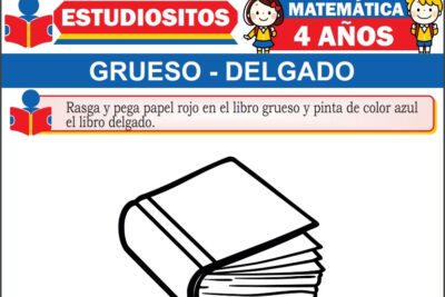Ejercicios de Grueso y Delgado para Niños de Cuatro Años