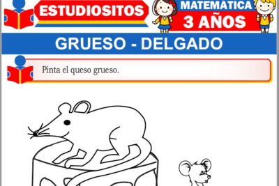 Ejercicios de Grueso y Delgado para Niños de Tres Años