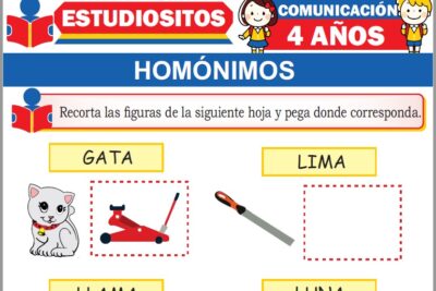 Ejercicios de Homónimos para Niños de Cuatro Años