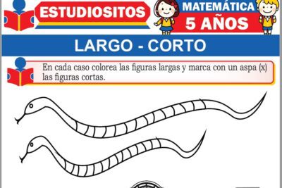 Ejercicios de Largo y Corto para Niños de Cinco Años