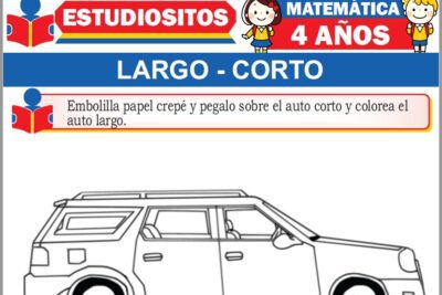 Ejercicios de Largo y Corto para Niños de Cuatro Años