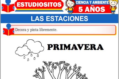 Ejercicios de Las Estaciones para Niños de Cinco Años