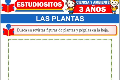 Ejercicios de Las Plantas para Niños de Tres Años