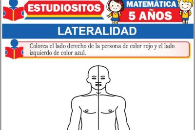 Ejercicios de Lateralidad para Niños de Cinco Años