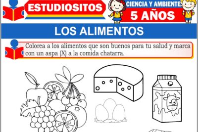 Ejercicios de Los Alimentos para Niños de Cinco Años