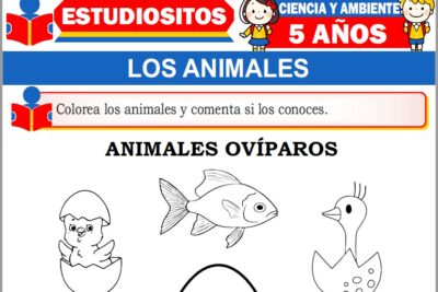Ejercicios de Los Animales para Niños de Cinco Años