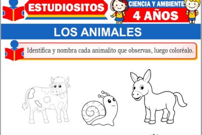 Ejercicios de Los Animales para Niños de Cuatro Años