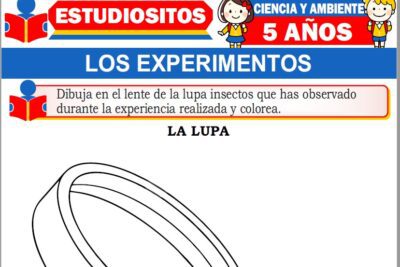Ejercicios de Los Experimentos para Niños de Cinco Años