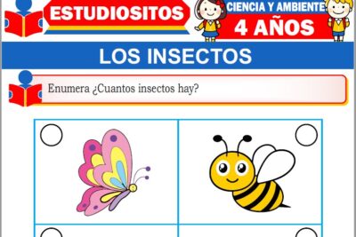 Ejercicios de Los Insectos para Niños de Cuatro Años