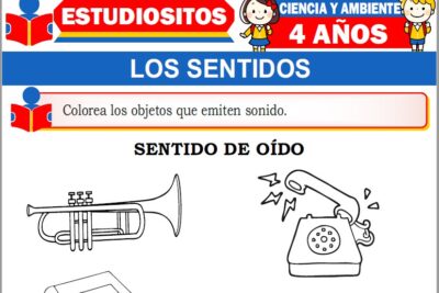 Ejercicios de Los Sentidos para Niños de Cuatro Años