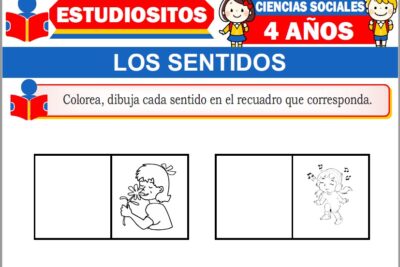 Ejercicios de Los Sentidos para Niños de Cuatro Años