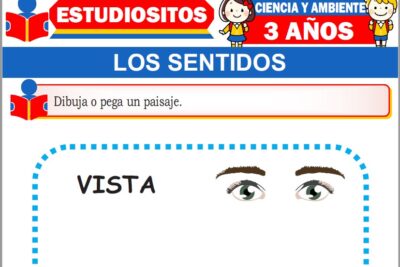 Ejercicios de Los Sentidos para Niños de Tres Años