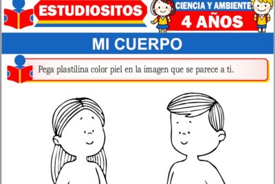 Ejercicios de Mi Cuerpo para Niños de Cuatro Años