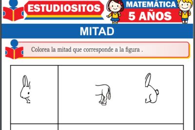 Ejercicios de Mitad para Niños de Cinco Años