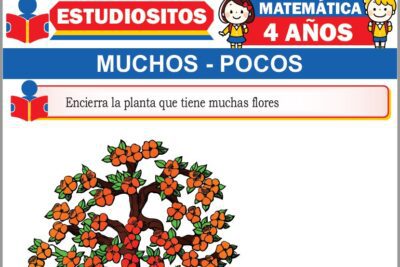 Ejercicios de Muchos y Pocos para Niños de Cuatro Años