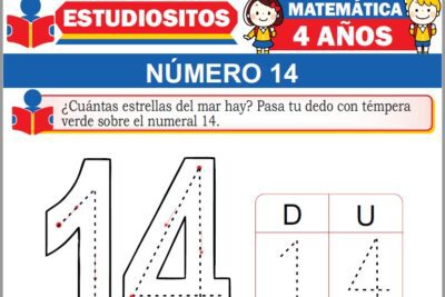 Ejercicios de Número 14 para Niños de Cuatro Años