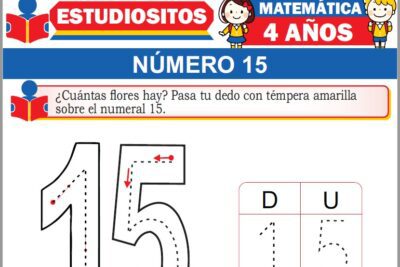 Ejercicios de Número 15 para Niños de Cuatro Años