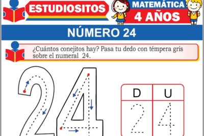 Ejercicios de Número 24 para Niños de Cuatro Años