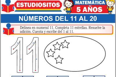 Ejercicios de Números del 11 al 20 para Niños de Cinco Años
