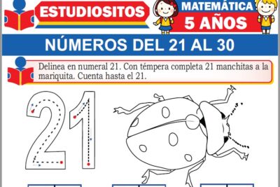 Ejercicios de Números del 21 al 30 para Niños de Cinco Años
