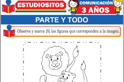 Ejercicios de Parte y Todo para Niños de Tres Años