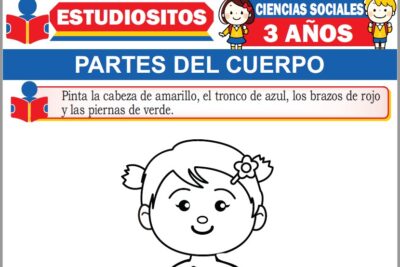 Ejercicios de Partes del Cuerpo para Niños de Tres Años