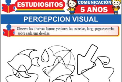 Ejercicios de Percepción Visual para Niños de Cinco Años