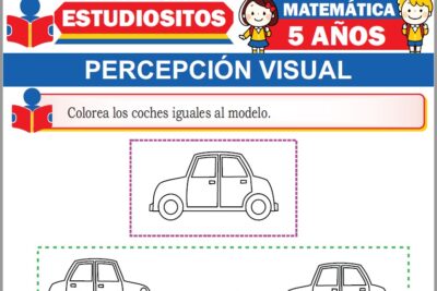 Ejercicios de Percepción Visual para Niños de Cinco Años