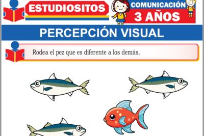 Ejercicios de Percepción Visual para Niños de Tres Años