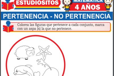 Ejercicios de Pertenencia y No Pertenencia para Niños de Cuatro años