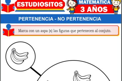 Ejercicios de Pertenencia y No Pertenencia para Niños de Tres Años