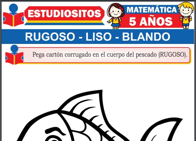 Rugoso, Liso y Blando para Niños de Cinco Años » (Fichas GRATIS) 📚