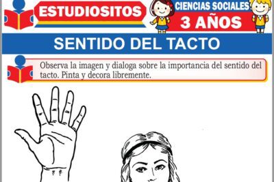 Ejercicios de Sentido del Tacto para Niños de Tres Años