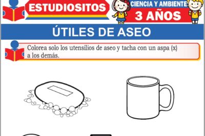 Ejercicios de Útiles de Aseo para Niños de Tres Años